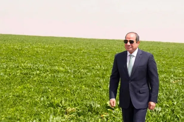 مشروع «الدلتا الجديدة» بتكلفة 15 مليار دولار يُعيد رسم خريطة الزراعة المصرية