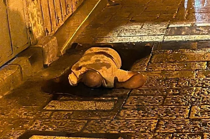 شرطة الاحتلال تقتل فلسطينياً قرب باب العامود في القدس
