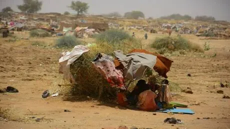 20 مليون جائع في السودان: أرقام المجاعة تتصدر التغطية بينما تتباين المصادر في تشخيص المسؤولية