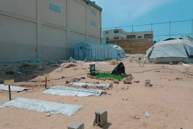 غزة وجنين: فلسطينيون يعيشون تداعيات الحرب والاحتلال بين الركام والنزوح