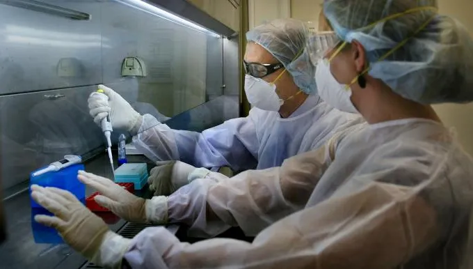 أستراليا تؤكد أول إصابة بإنفلونزا الطيور H5N1 في البر الرئيسي