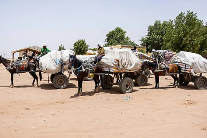 أزمات إنسانية متصاعدة في السودان واليمن وغزة والصحراء الغربية