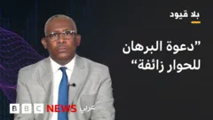 الحرب في السودان: مجازر مدنية وأزمة دواء وجدل حول المسؤولية السياسية